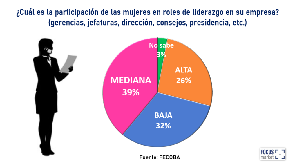 Cual es la particiación de las mujeres en roles de liderazgo