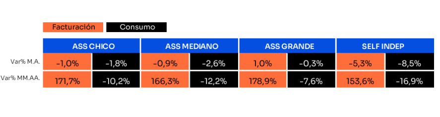 Ventas y facturación por formato